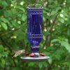 Perky-Pet Perky-Pet Hummingbird 16 oz Glass Nectar Feeder 4 ports 8117-2